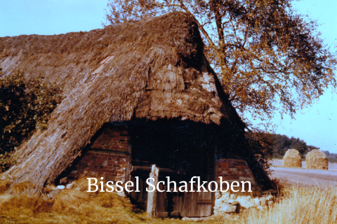 Bissel-Schafkoben