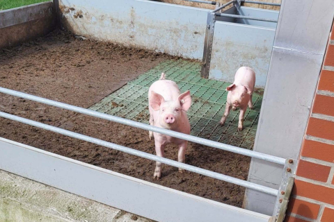 Prezentacja-Ahlhorn_Seite_18