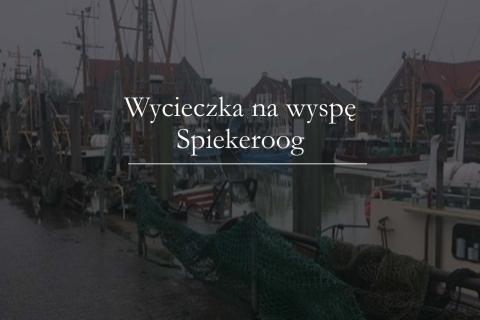 Prezentacja-Ahlhorn_Seite_19