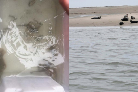 Prezentacja-Ahlhorn_Seite_20