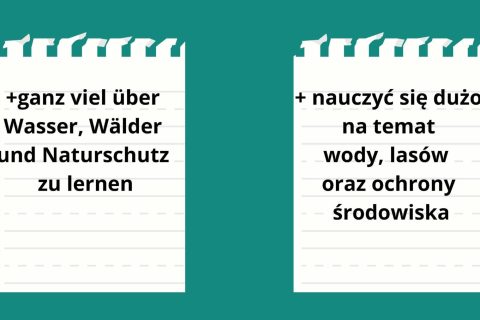 Prezentacja-NR-1_Seite_05-scaled