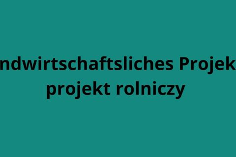 Prezentacja-NR-1_Seite_16-масштабований