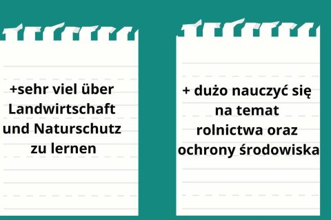 Prezentacja-NR-1_Seite_18-масштабований