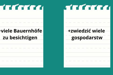 Prezentacja-NR-1_Seite_26-масштабований