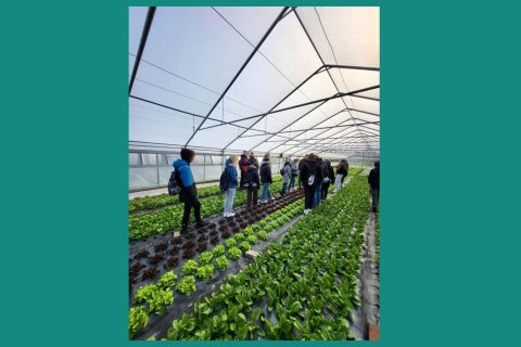 Prezentacja-NR-1_Seite_27-масштабована